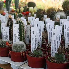 Бирки "колышек" для маркировки растений 104х18 мм, PET, 1000 шт.